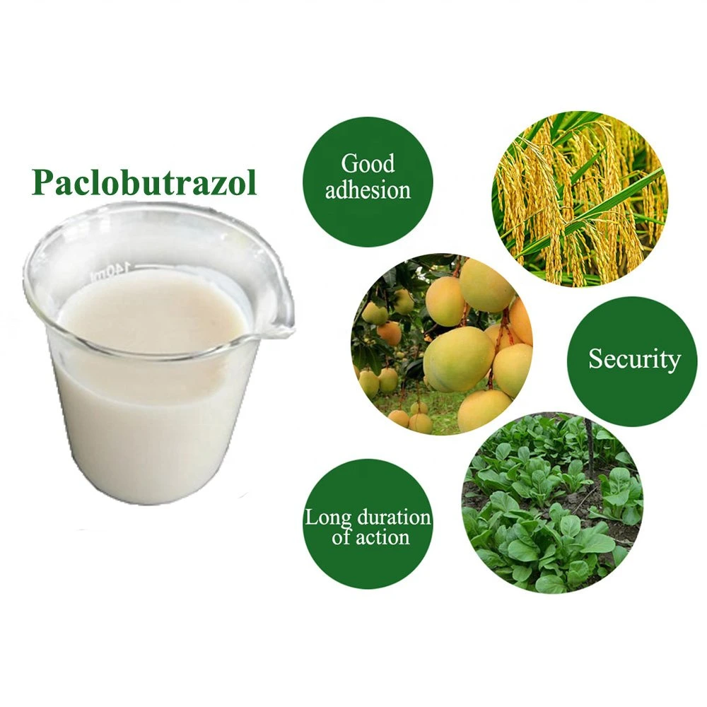 Great Quality Plant Growth Regulator for Mango Trees Paclobutrazol/PP333 20%Sc Liquid