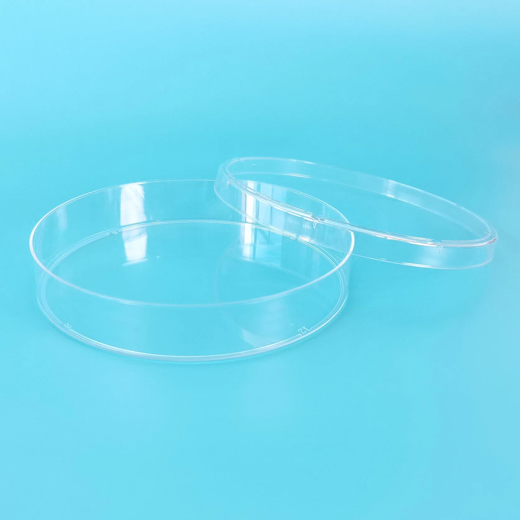 PS Plastic Large 150mm Vented Cell Culture Petri Dish