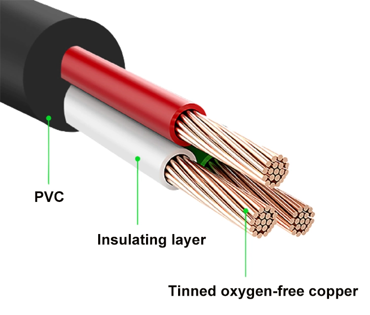 Fuente de alimentación CA CC de conmutación de certificado EMC Kc de conector kr Mx24W adaptador de salida 12volt 2A