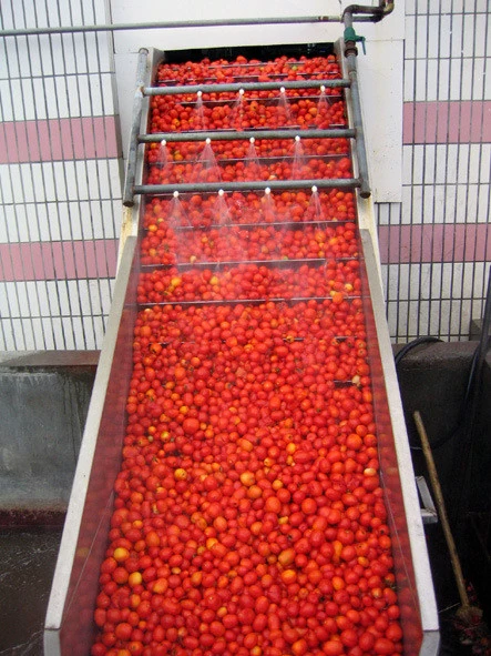 Commecial pasta de tomate ketchup//El puré de tomate con la línea de producción puede /Paquete de botella