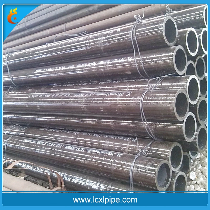 Stainless Steel Single Braid Flexible Metal Hose/Pipe with Fitting