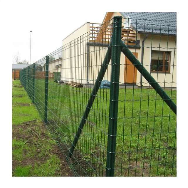 Galvanized Welded Wire Mesh for Garden Fence