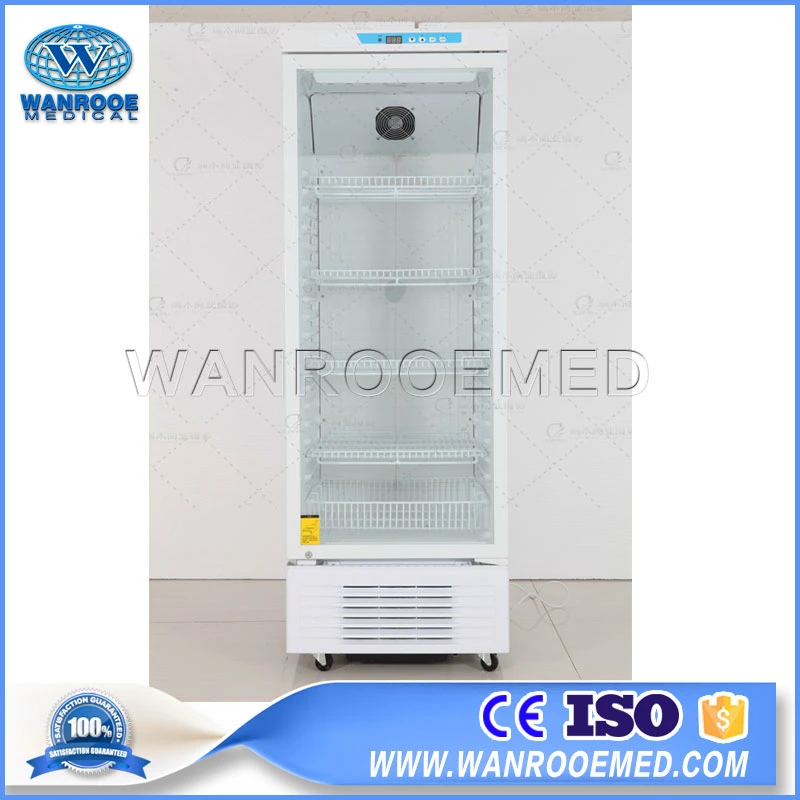 WR-YC-300L 2 C - 8 C Acero inoxidable biológico médico Refrigerador de farmacia Lab Deep