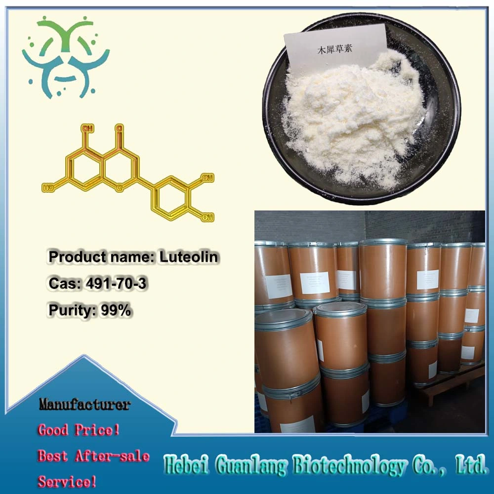 High Purity Luteolin CAS 491-70-3 with Best Price