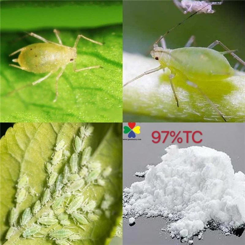 Insecticide Imidacloprid 97% Tc Technical CAS 138261-41-3