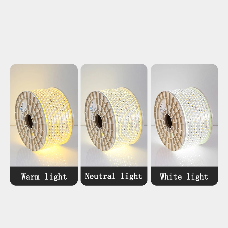 High Lumen IP20 65 68 Flexible LED Strip Light 12 24V 5050 60p 14 4W Pink Green Quantity Luminous Red Blue Body Lamp Copper OEM