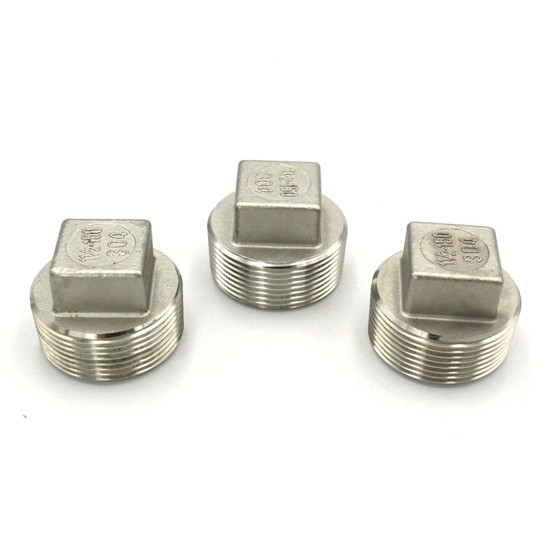 Manufacturer Stainless Steel 304 316 Pipe Fitting Casting Square Plug