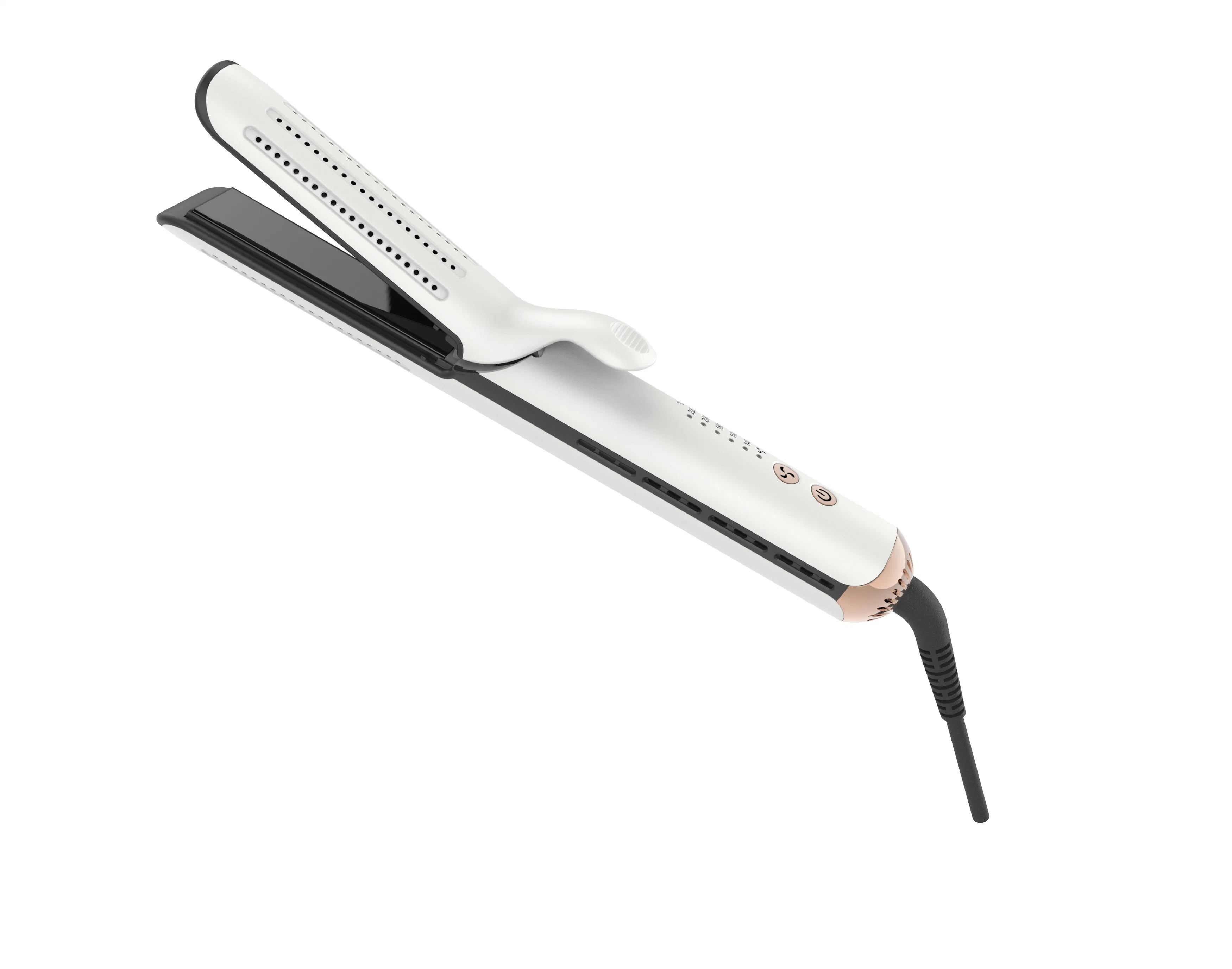 Professional Titanium Hair Iron Straightener with LED Flat Irons Wholesale Private Label Customize Hair Straightener