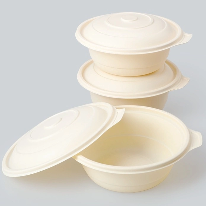 Environmentally Friendly Lunch Food Container Disposable 3 Boxes Disposable Food Container