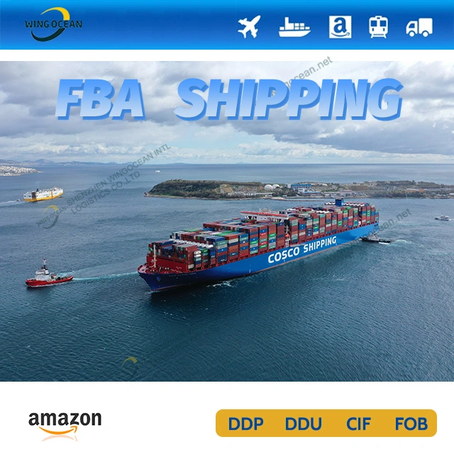 Envio profissional de despachantes de cargas marítimas da Amazon FBA da China para o. EUA/Canadá/Europa/México/Austrália