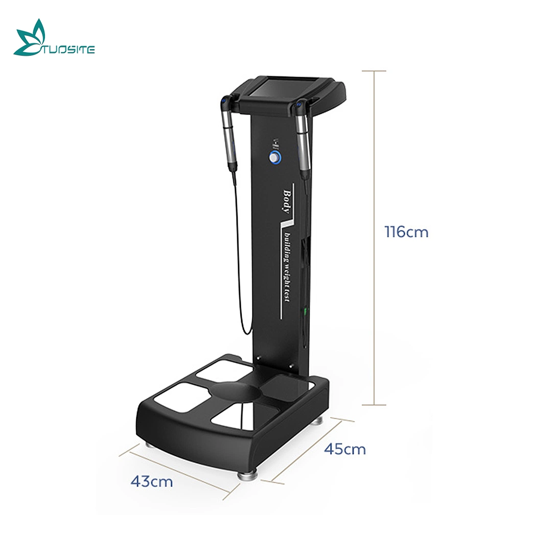 Beauty Salon Equipment for Professional Body Composition Analyzer