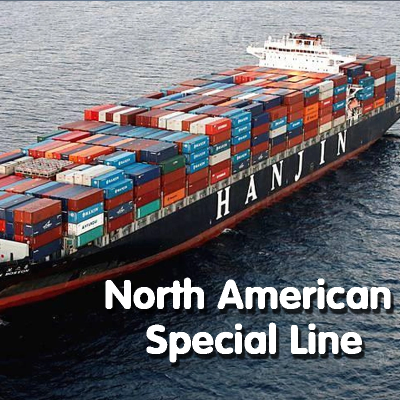 Sea Shipping Company From China to Mexico Freight Forwarder