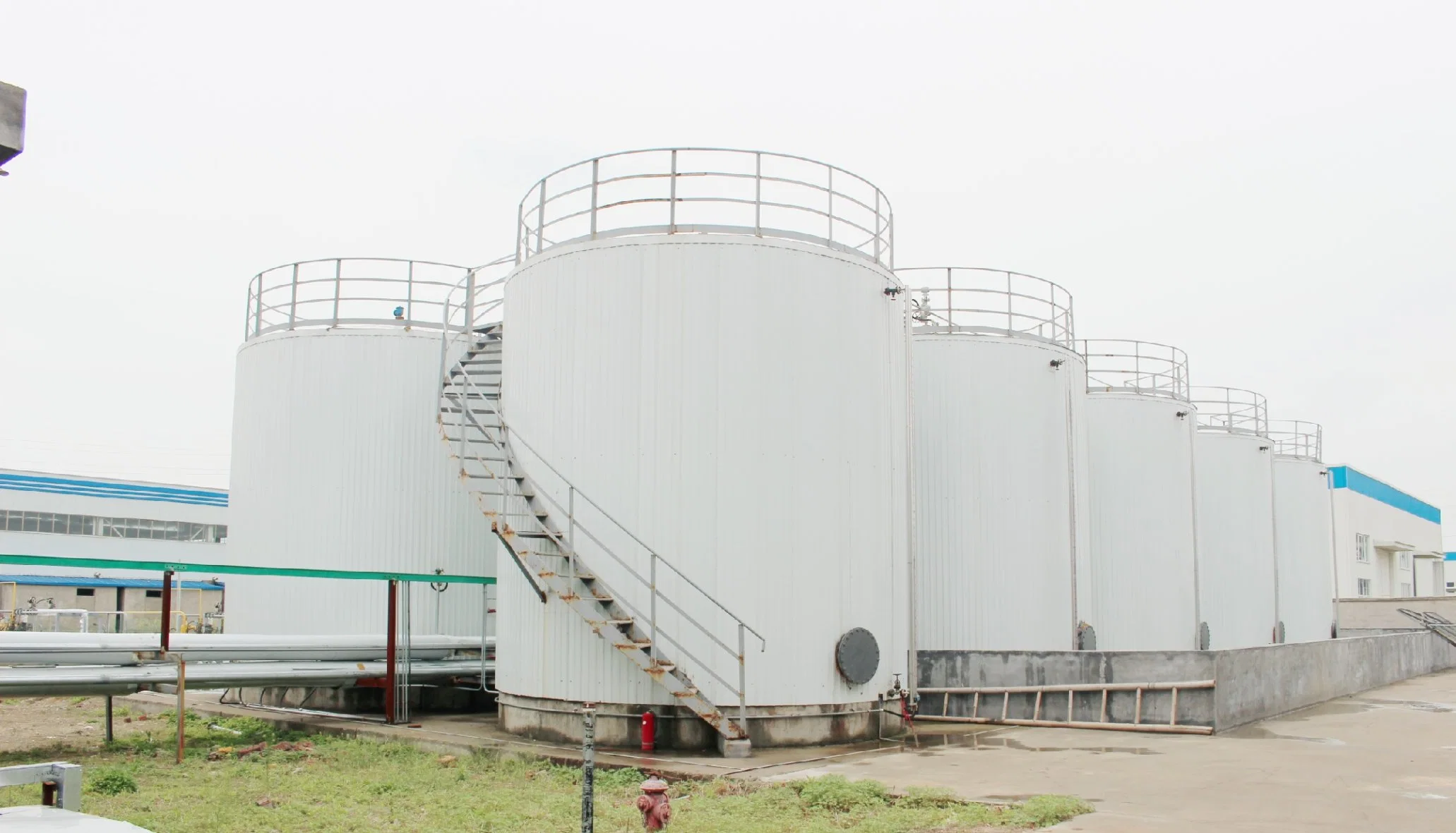 100% garantie de qualité de l'eau liquide à base de l'adhésif pour la construction d'Ongles Service OEM