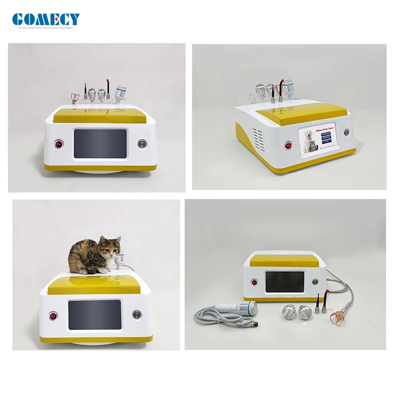 Laser Veterinary Equipment Pain Relief Treatment Massage Device for Pets