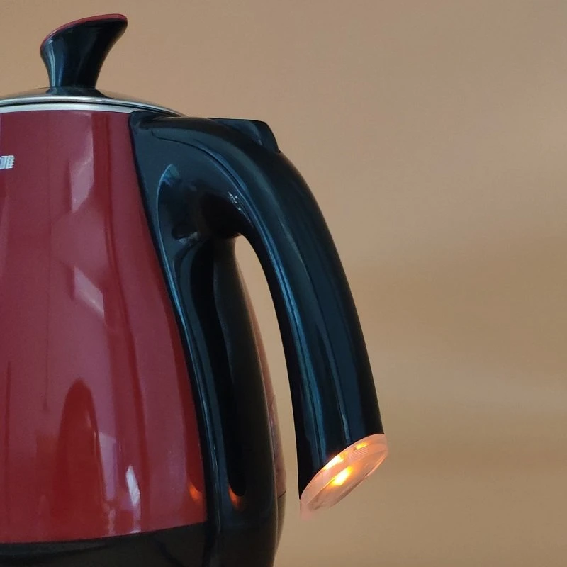 Electrical Kettle with Thermometer to Display Water Temperature to Brew Hot Tea and Coffee