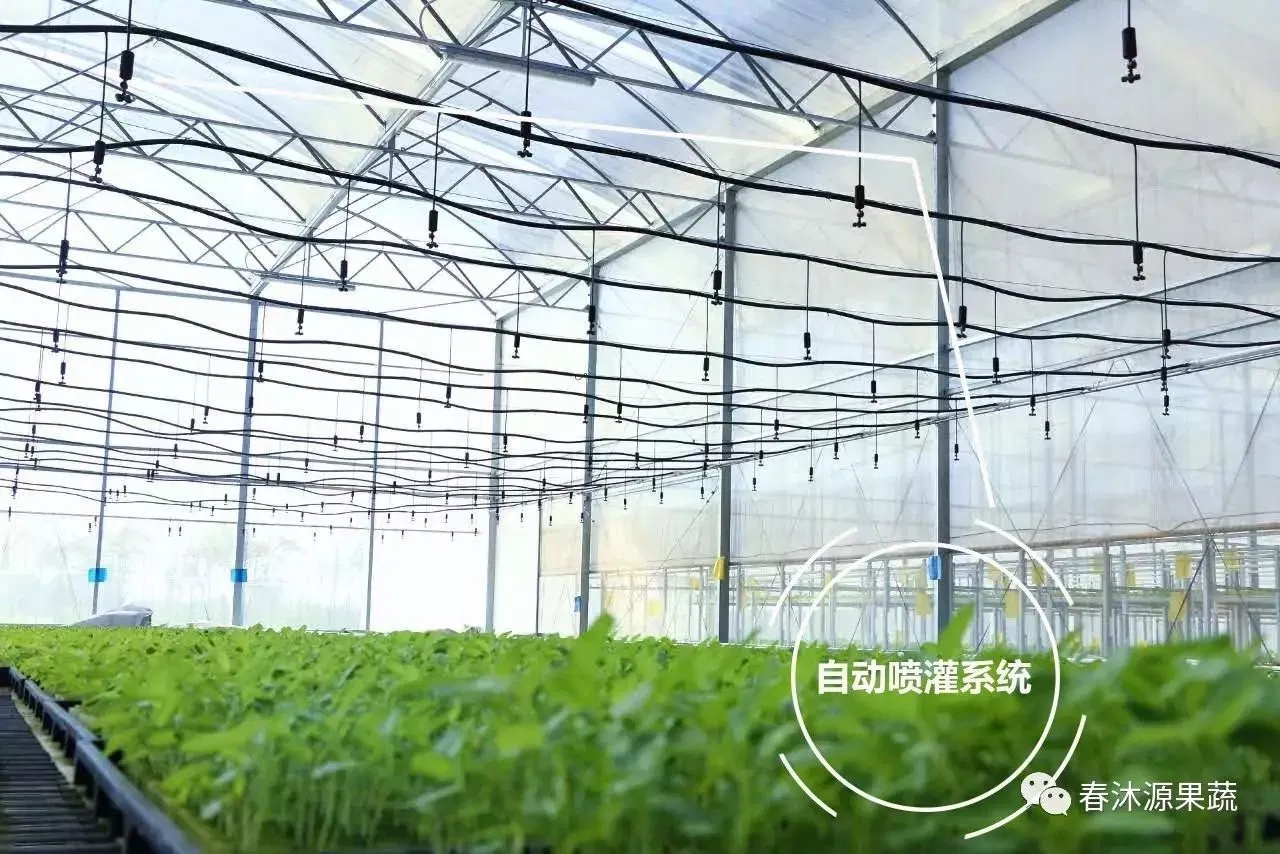 Hydroponic Thermal Break Glass Greenhouse with Water and Fertilizer System