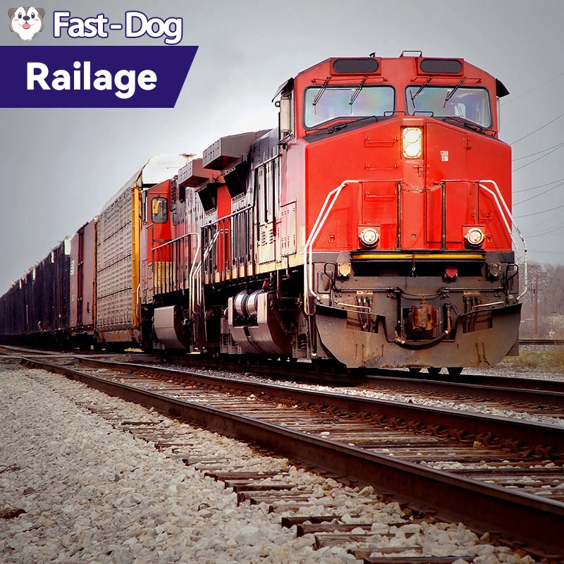 Train Freight Forwarder Railway Transportation Door Door DDP Delivery Service