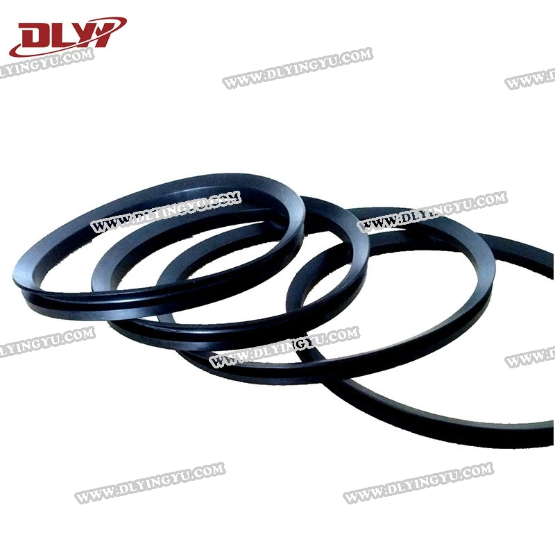 NBR/Buna-N/FKM/Silicone V Ring Seals