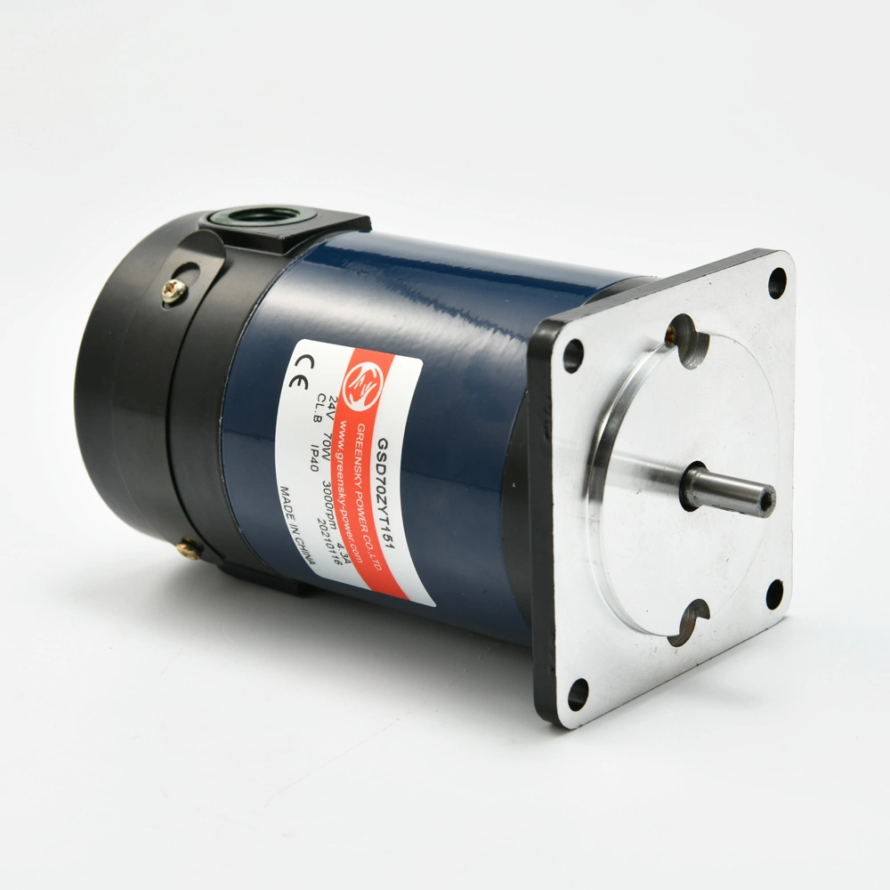 B5 B14 IEC Mounting Most Powerful 12V 24V High Speed DC Brushed Motor