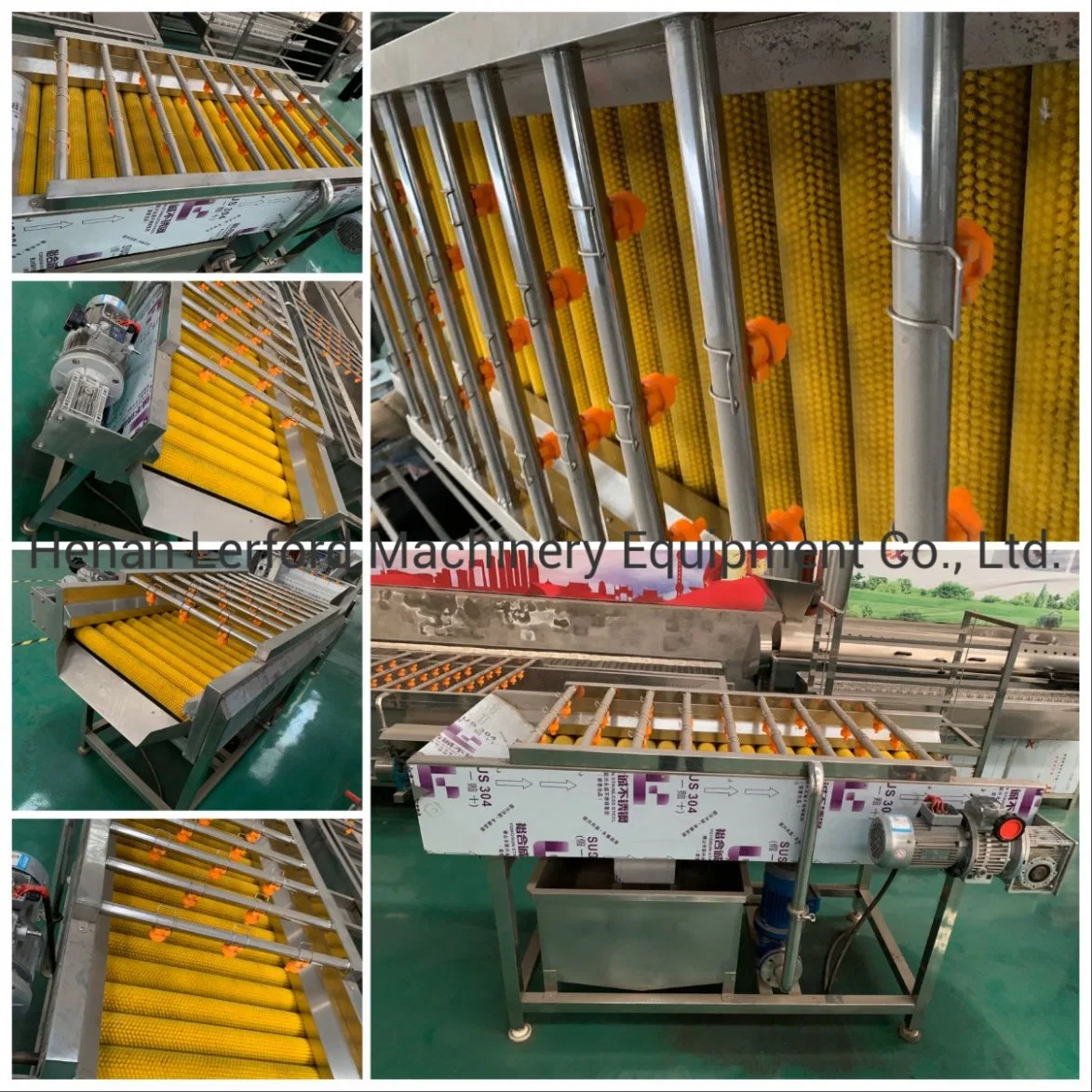 Brush Washing Fruit Vegetable Washer Machine for Sale