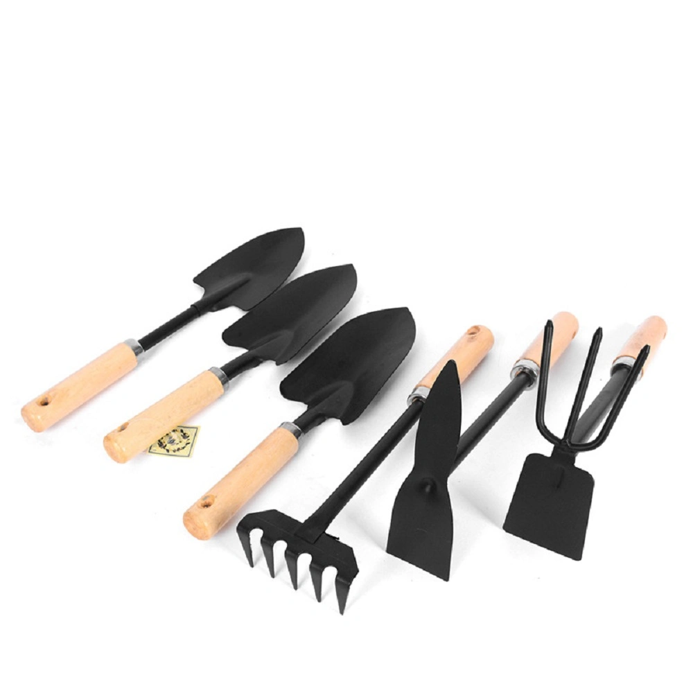 Garden Tool Set, 6 Piece Cast- Duty Gardening Kit Wholesale/Supplier Garden Tool Set with Wooden Handle Steel Garden Tool Esg17749