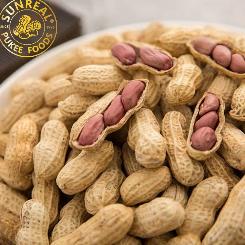 Roasted Red Skin Peanut in Shell/Sunreal/Thick Shell/Easy to Move/Plump Kernel