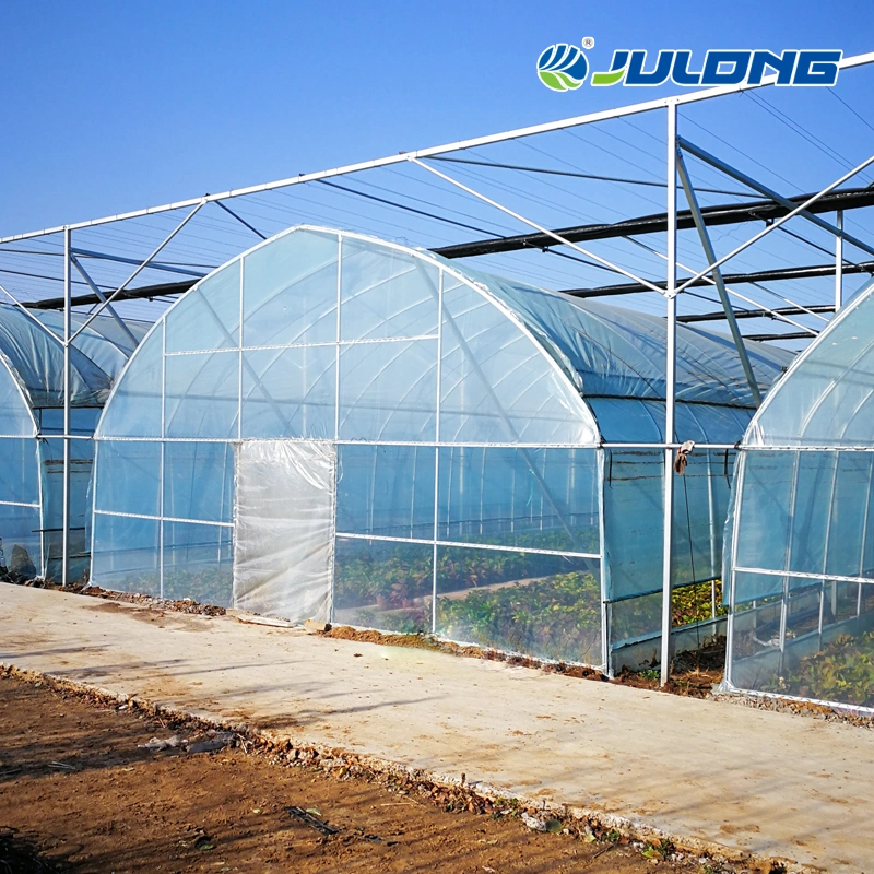 Agricultural Tunnel Single Span Plastic Film Greenhouse with Hydroponics System for Vegetabales and Flowers Planting