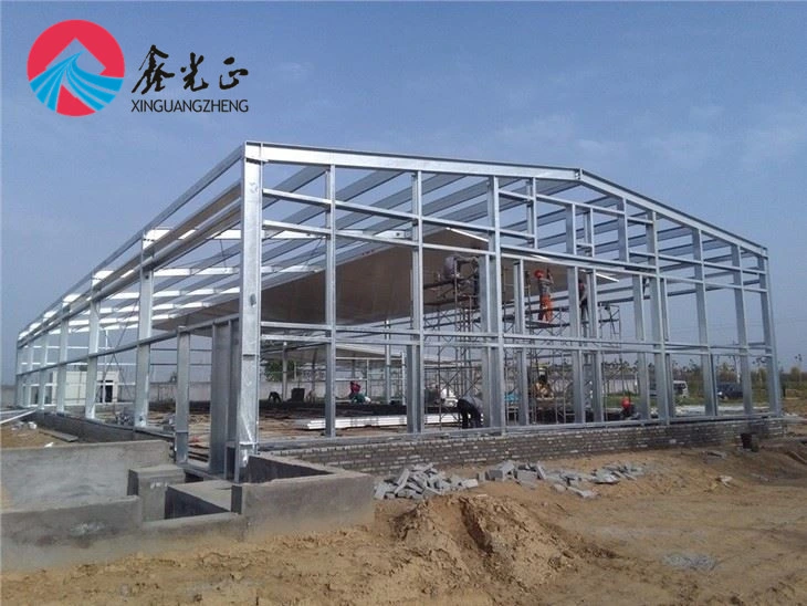 Light Steel Structure Design Chicken House for Raising Broiler