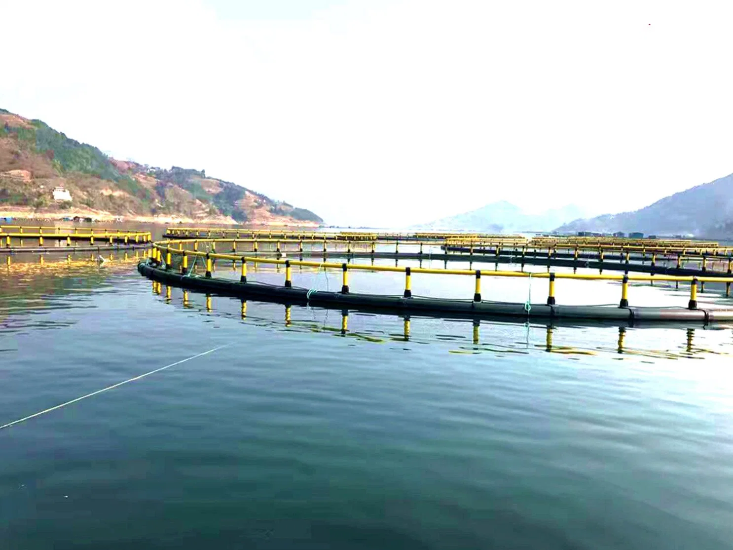 Équipement de cages flottantes de haute qualité en PEHD pour l'aquaculture de poissons, pour les cages de pêche au tilapia de 50m