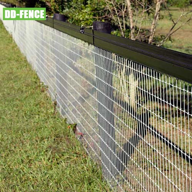 Wholesale/Supplier Galvanized Grassland Wire Mesh Panel Fencing Cattle / Sheep / Field / Deer Farm Fence