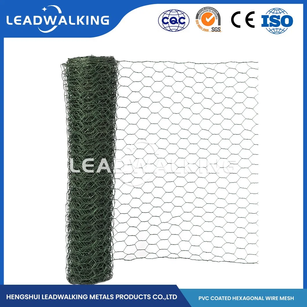 Leadwalking Material de arame de aço inoxidável revestido de PVC Frango Hexagonal de fabricantes de malha China 16mm malhas metálicas Hexagonal de PVC