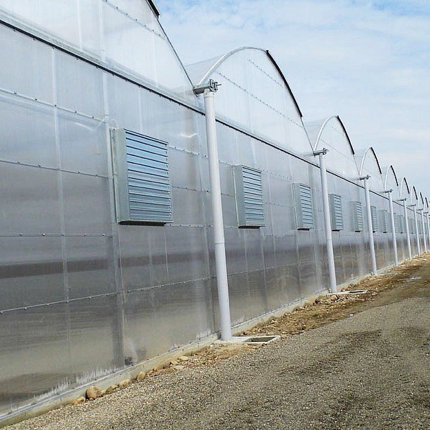 2023 Factory Supply Agricultural Polycarbonate Greenhouse with Nursery System