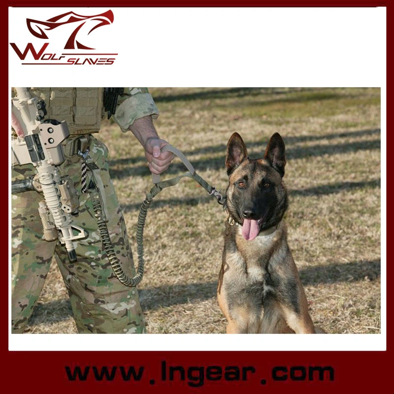 Ceinture de sangle de dressage de chien style militaire laisse de chien Bungee tactique Combat en toile