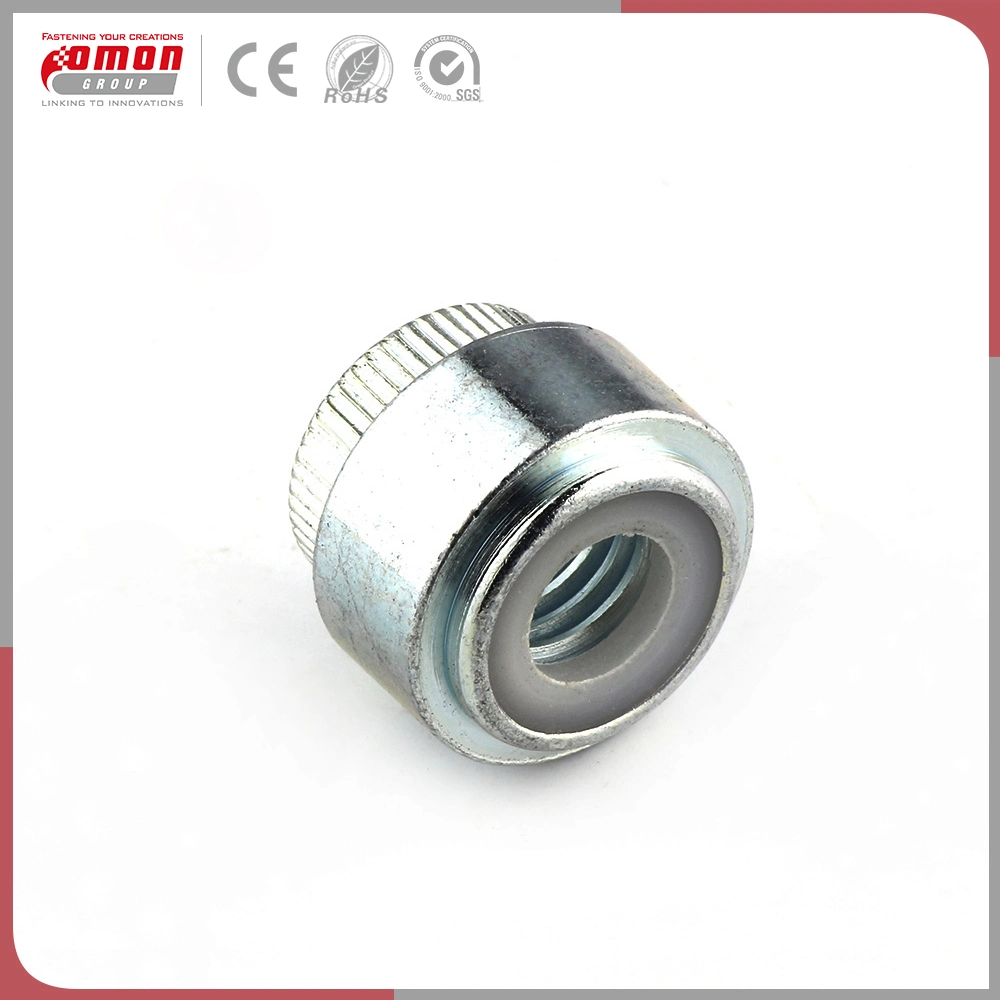 OEM Bolt Brass Stainless Steel Hex Rivet Nut for Building