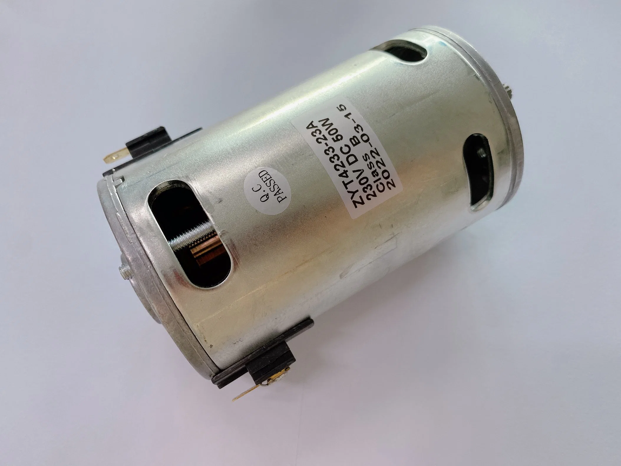 10W~100W 220V Small Electric DC Motor Zyt