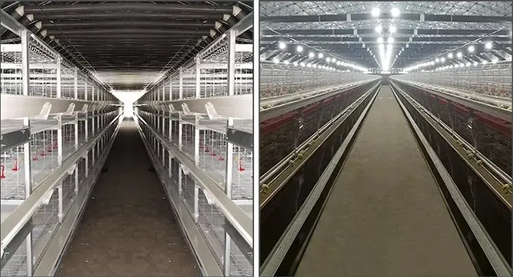 Hens Steel Layer Cage Fabricators China H Type Laying Coop Sample Available Clean and Hygienic Plastic Chicken Egg Laying Cage