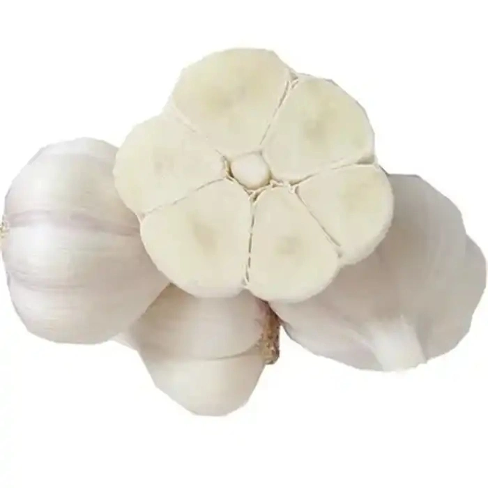 Normal White Garlic Chinese Fresh Vegetables 3p 4p 5p 6p 7p Bag 10kg Carton