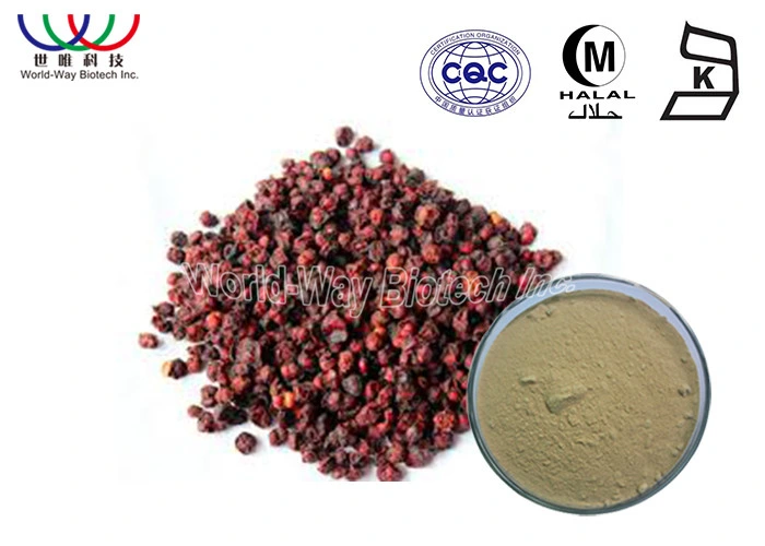 Superior Quality Factory Supply Schisandra Berry Extract Powder