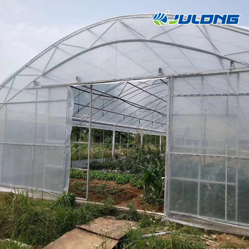 Smart Farm Hydroponics Growing System Single-Span Tunnel Film Greenhouse