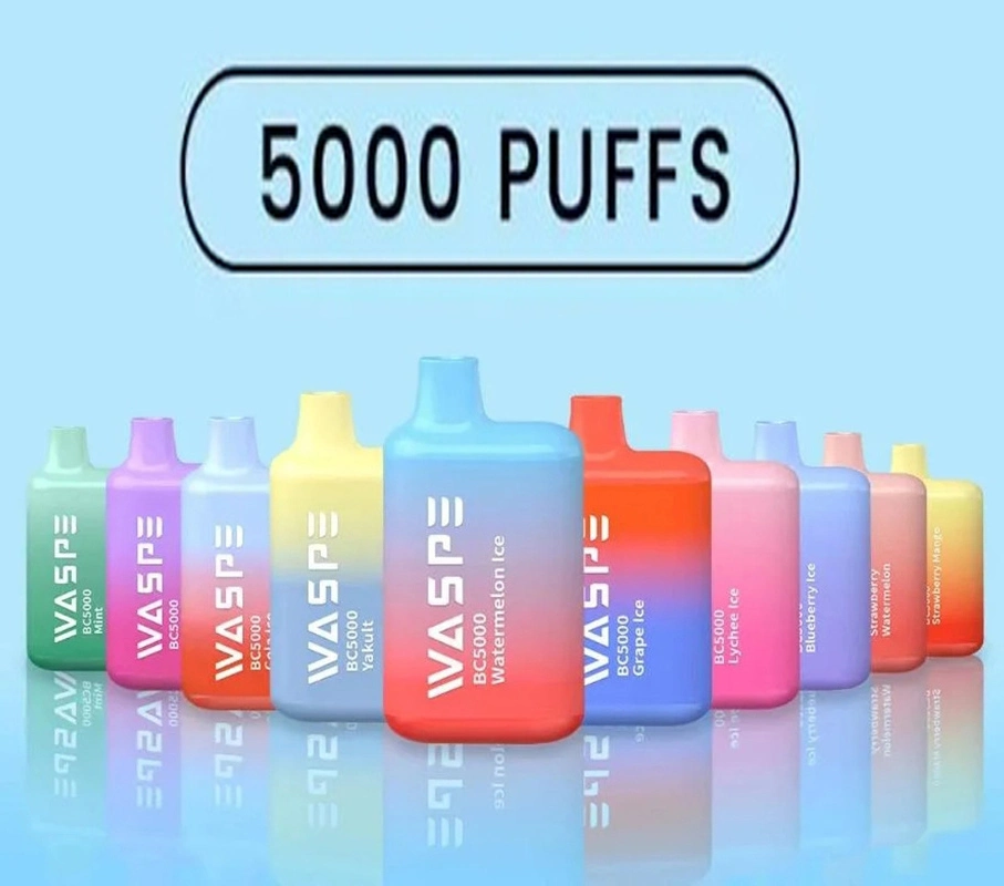 Melhor descartável Pape 5000 puffs preço electrónico do cigarro fumo descartável Vape OEM