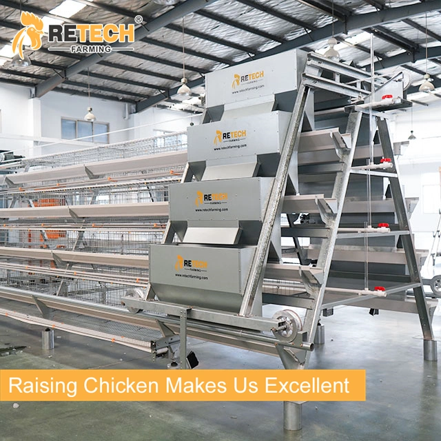 A Type Fully Automatic Poultry Farm Layer Chicken Cage Equipment in Indonesia