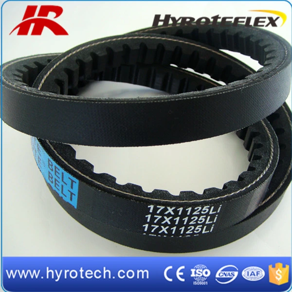 Rubber Belt/Raw Edge V Belt/Zx/Ax/Bx/Cx/Dx