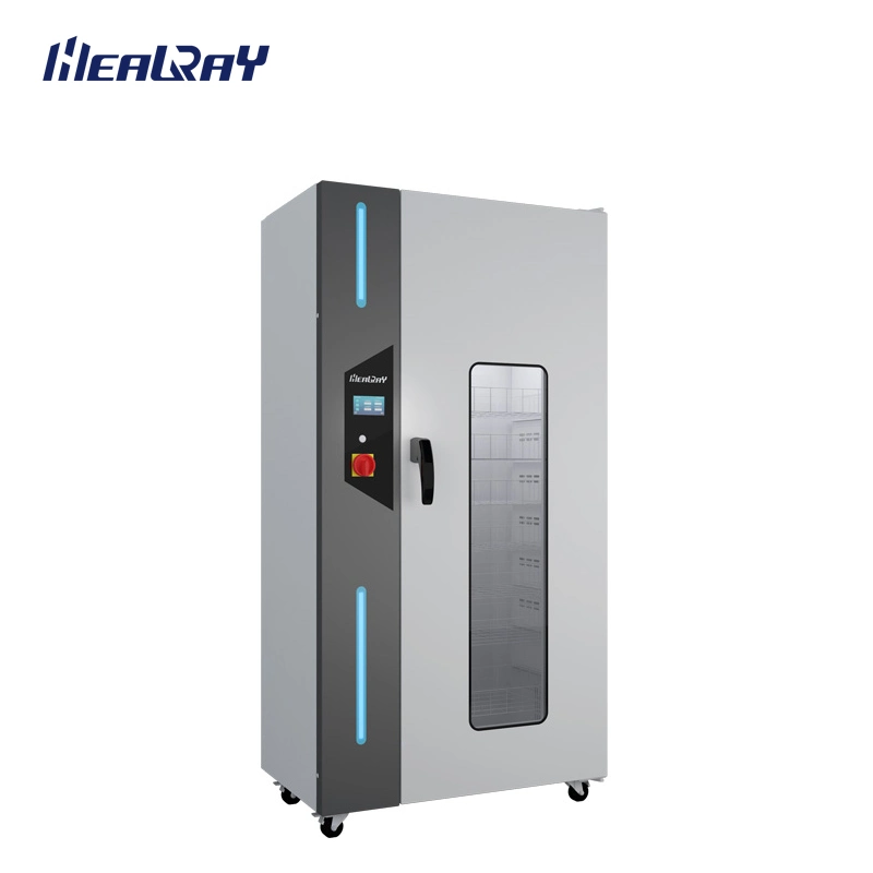 Professional Digital Cabinet Vacuum Drying Oven Laboratory Vacuum Drying Oven