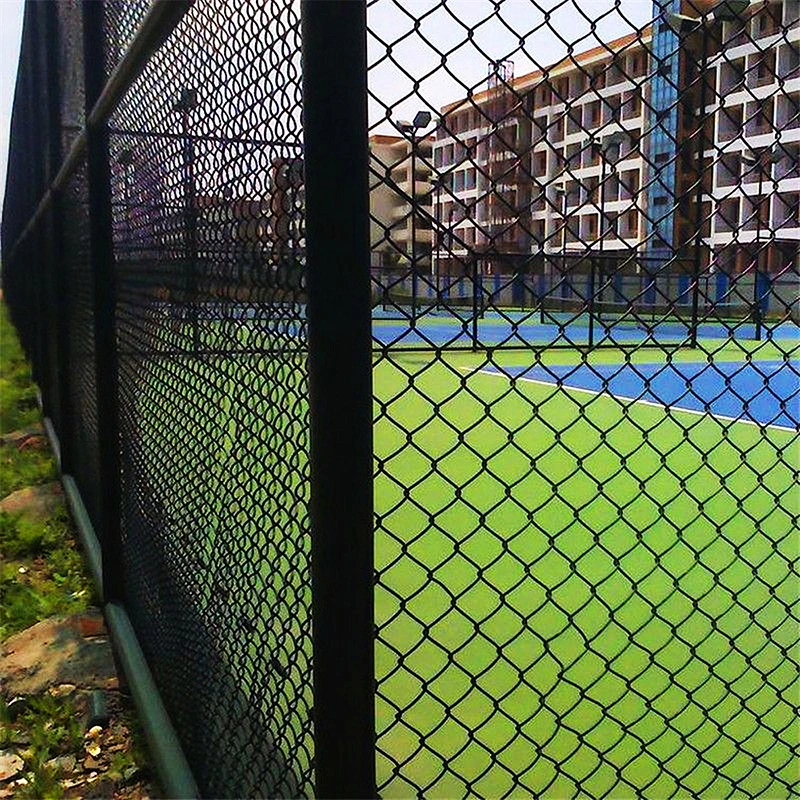 PVC Coated Curvy Mesh Fence/ Farm Fence /Wire Mesh/Chain Link Fence/Stainless Steel Wire Mesh/Field Fence/Garden Fence/Galvanized Chain Link Fence