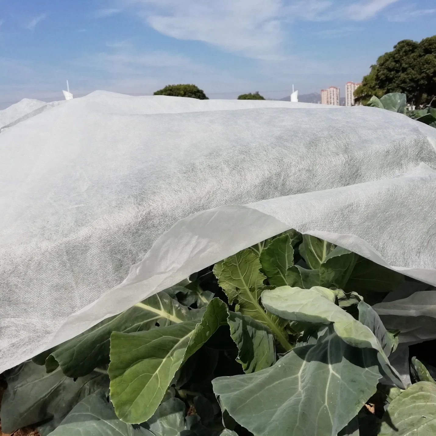 14m cubierta de tela no tejida agrícola ancha