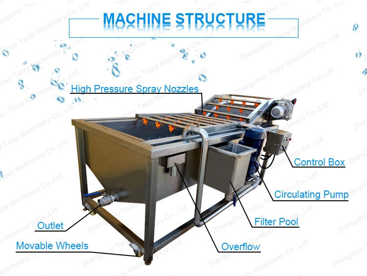 Fruit Vegetable Cleaning Line Pineapple Orange Mango Garlic Apple Washer Tomato