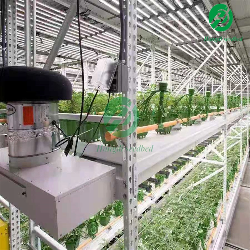 Multi Level Growing Rack System Vertical Rolling Benches with Tray for Medical Plants S3edbed Tarys