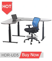 Modern Office Furniture Student Desk Painting Dual Motors Adjustable Desk