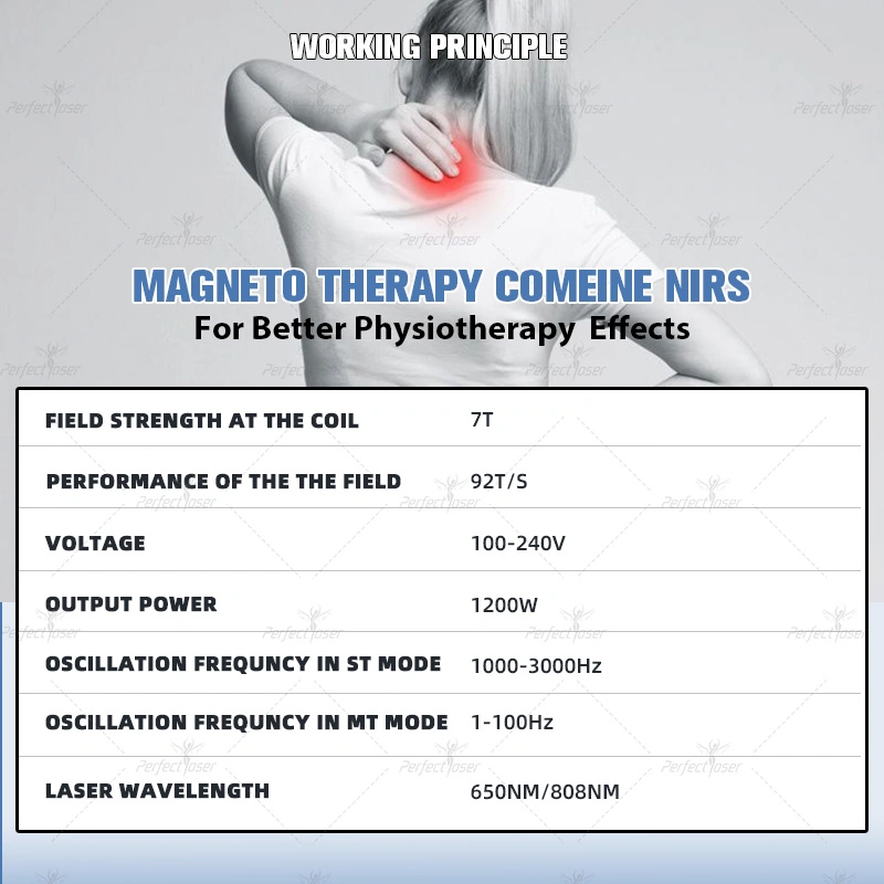 La atención de salud Última Emtt Magnetolith terapia Magneto Physio Lámpara de Infrarrojos Equipo