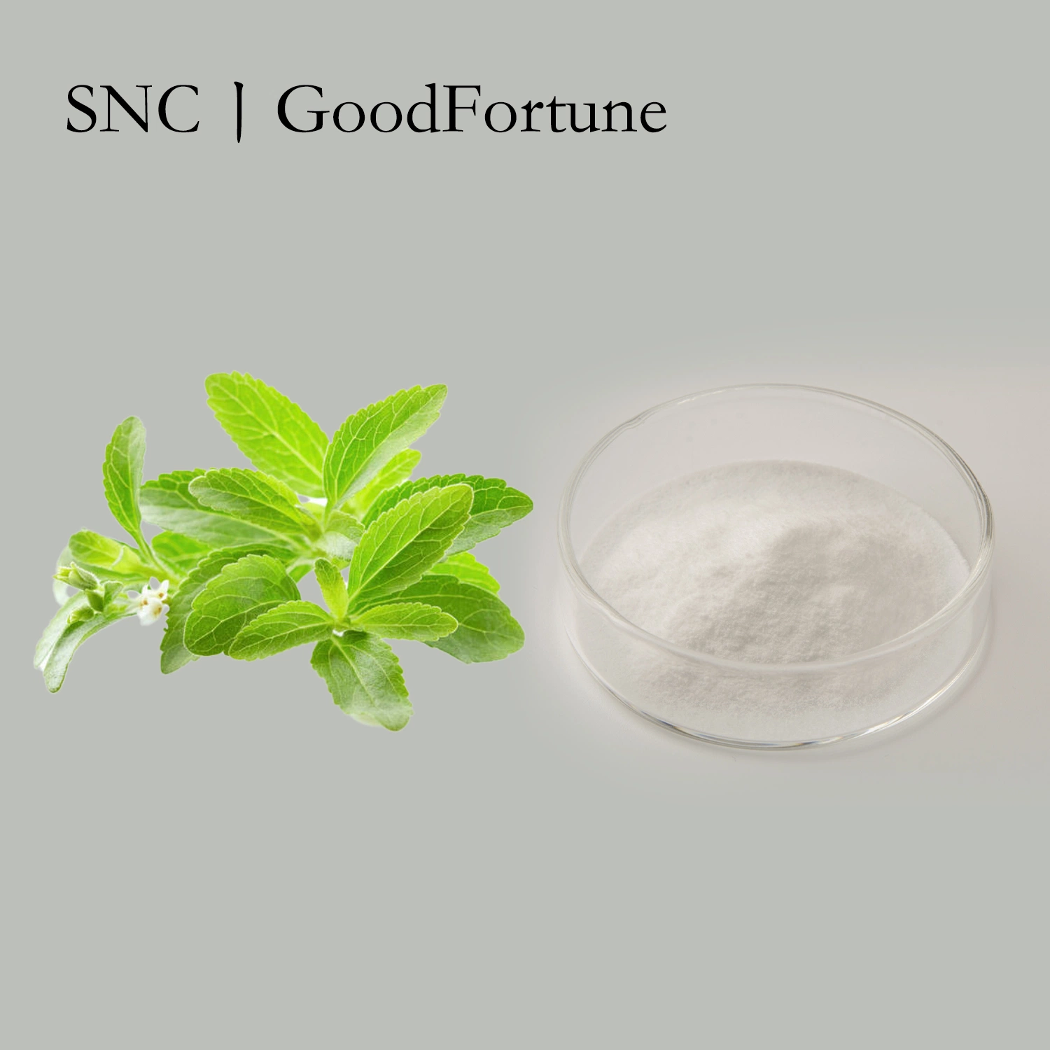 Organic Stevia Extract Powder CAS 57817-89-7 Stevioside